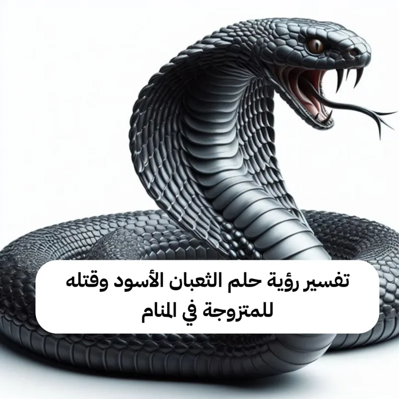 تفسير رؤية حلم الثعبان الأسود وقتله للمتزوجة في المنام