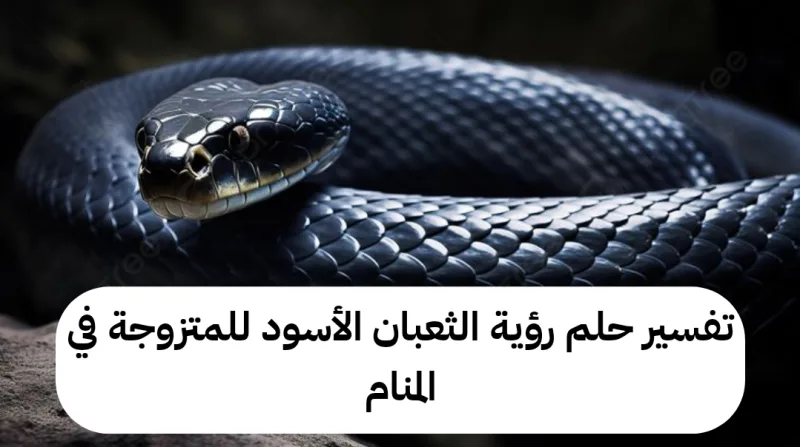 تفسير حلم رؤية الثعبان الأسود للمتزوجة في المنام