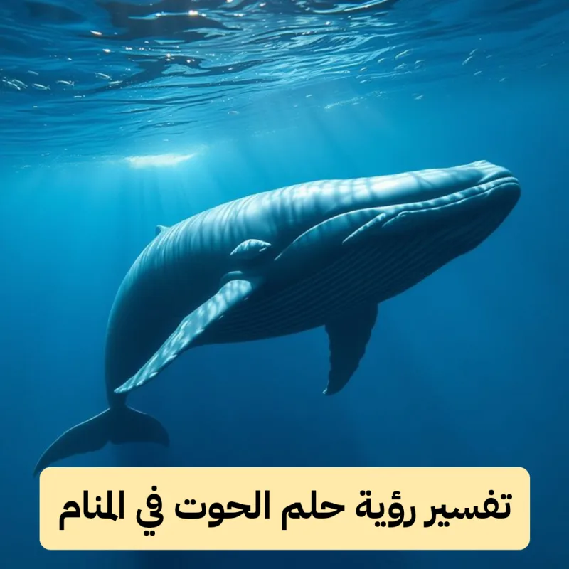 تفسير رؤية حلم الحوت في المنام لابن سيرين