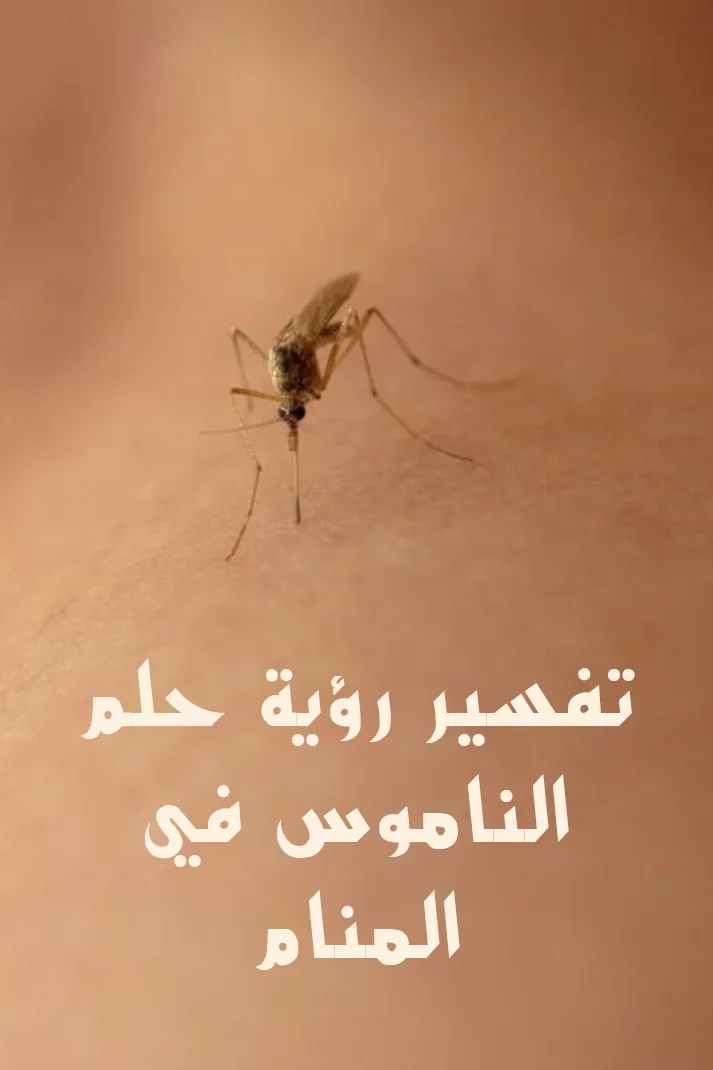 تفسير رؤية حلم الناموس في المنام .. فلس وراحة