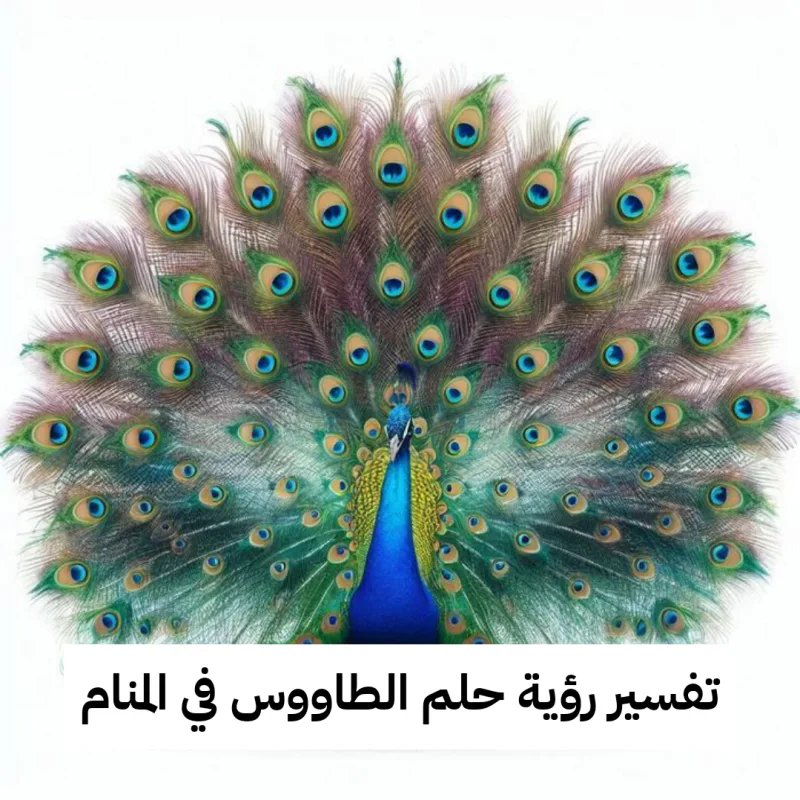 تفسير رؤية حلم الطاووس في المنام