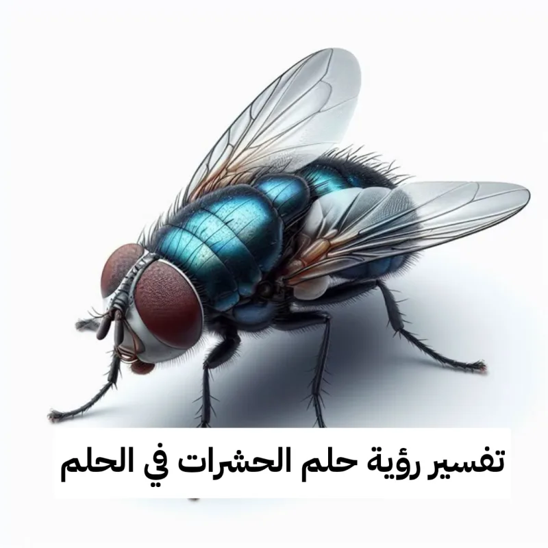 تفسير رؤية حلم الحشرات في الحلم