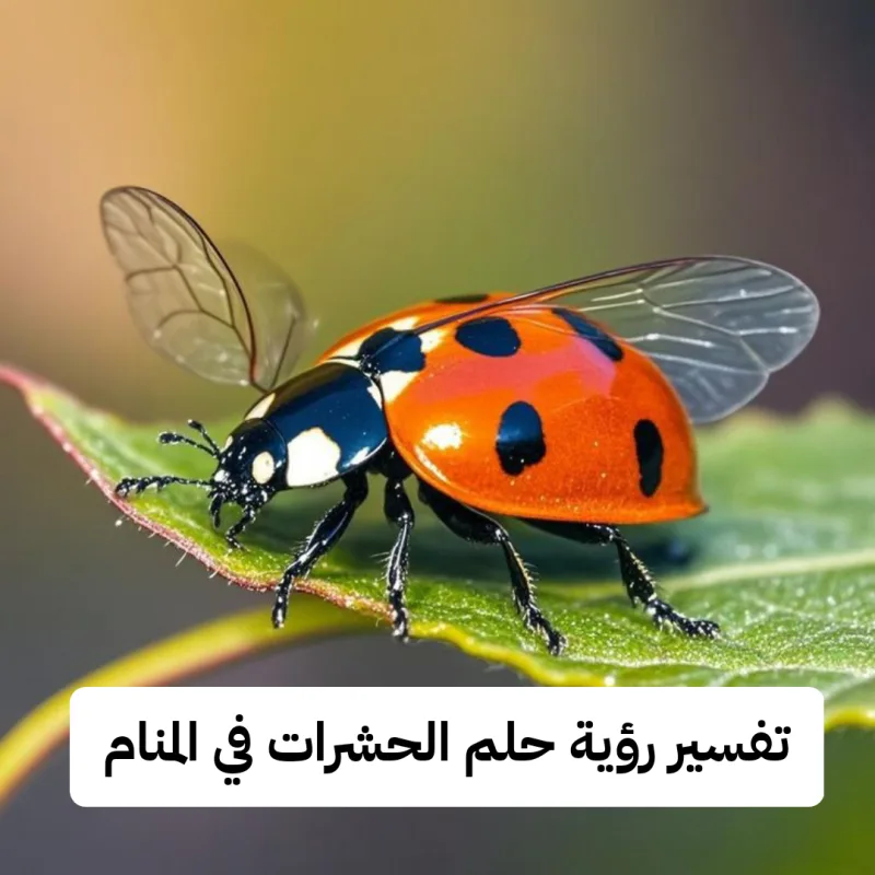 تفسير رؤية حلم الحشرات في المنام