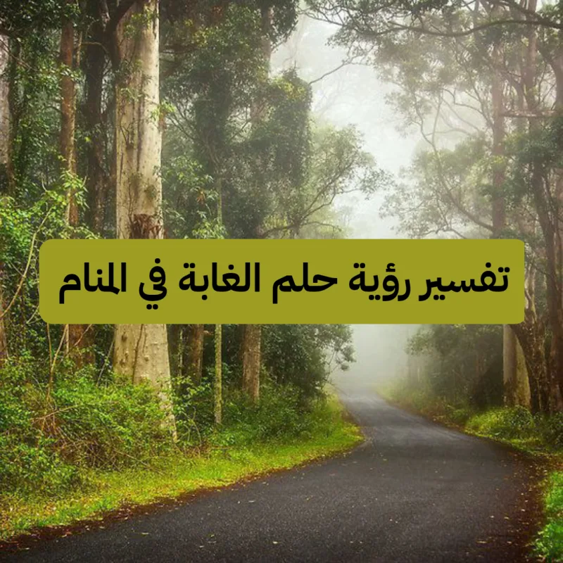 تفسير رؤية حلم الغابة في المنام