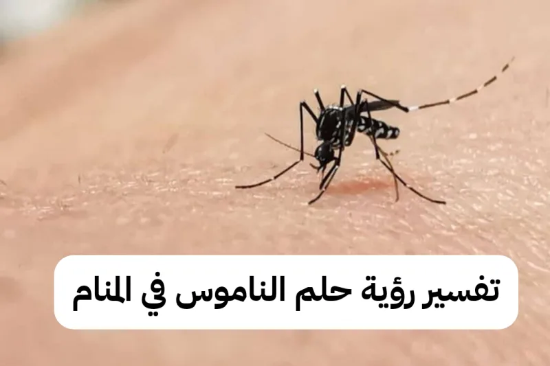تفسير رؤية حلم الناموس في المنام