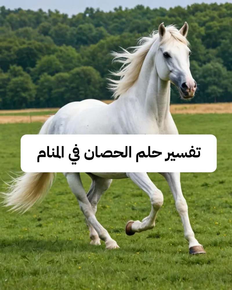 تفسير حلم الحصان في المنام لابن سيرين - رمز رؤية الاحصنة في الحلم
