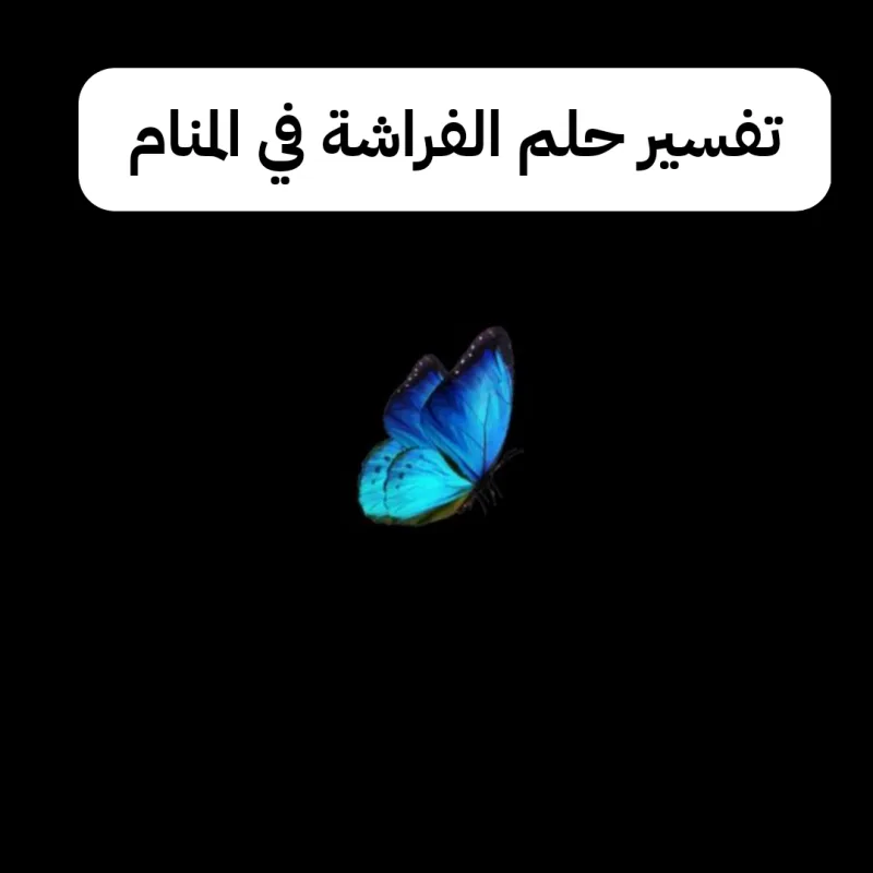 تفسير حلم الفراشة في المنام لابن سيرين - رمز رؤية الفراشات في الحلم