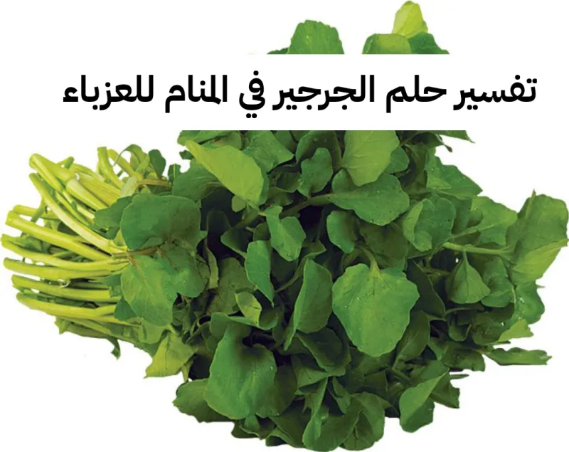 تفسير حلم الجرجير في المنام للعزباء - رمز رؤية الجرجير في الحلم