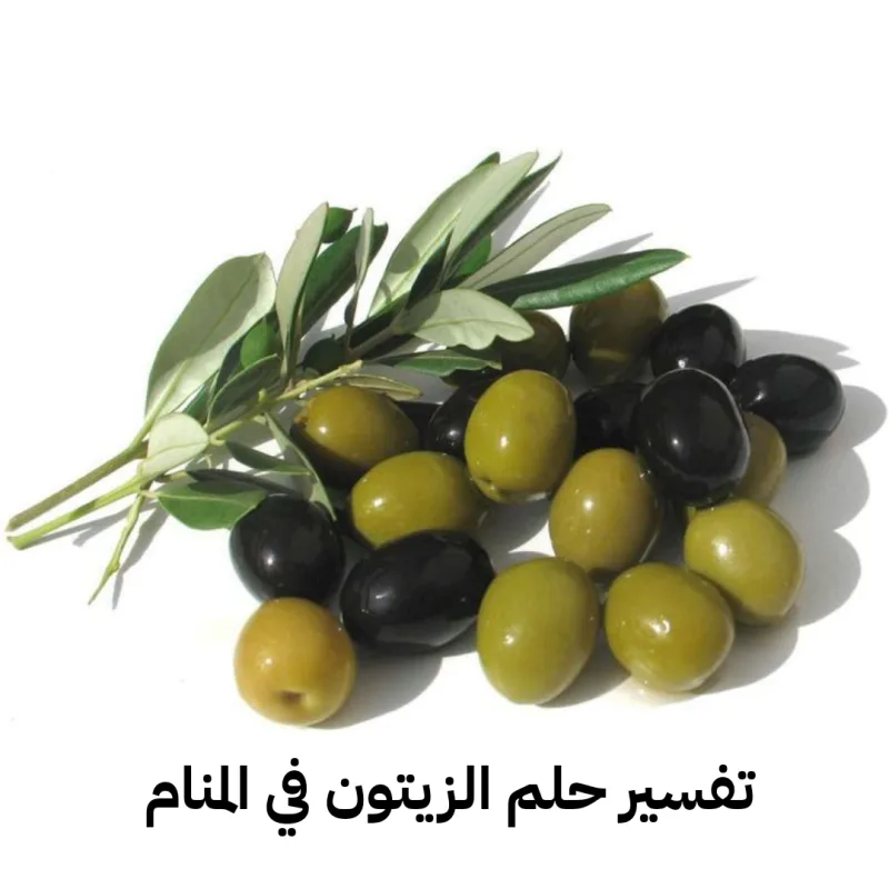 تفسير حلم الزيتون في المنام لابن سيرين - رمز رؤية شجر الزيتون في الحلم