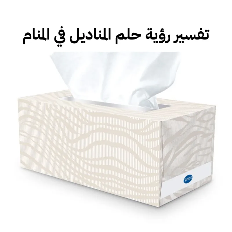 تفسير رؤية حلم المناديل في المنام