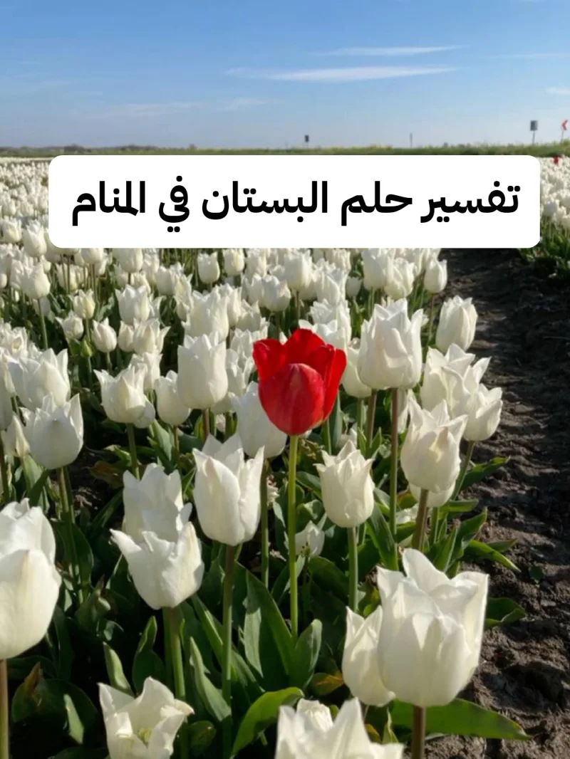 تفسير حلم البستان في المنام للعزباء بالتفصيل - رمز رؤية البساتين في الحلم