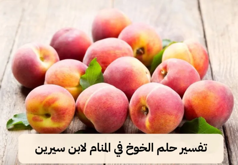 تفسير حلم الخوخ في المنام لابن سيرين - رمز رؤية الخوخ في الحلم