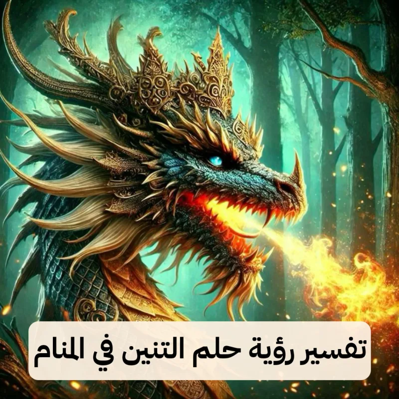 تفسير رؤية حلم التنين في المنام لابن سيرين - رمز رؤية التنانين في الحلم