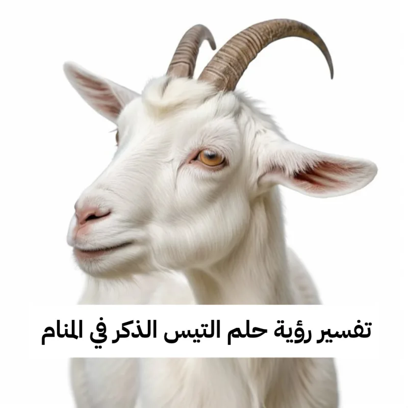 تفسير رؤية حلم التيس الذكر في المنام