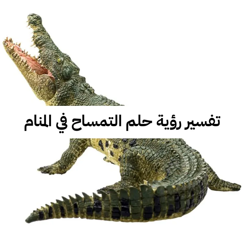 تفسير رؤية حلم التمساح في المنام لابن سيرين والنابلسي