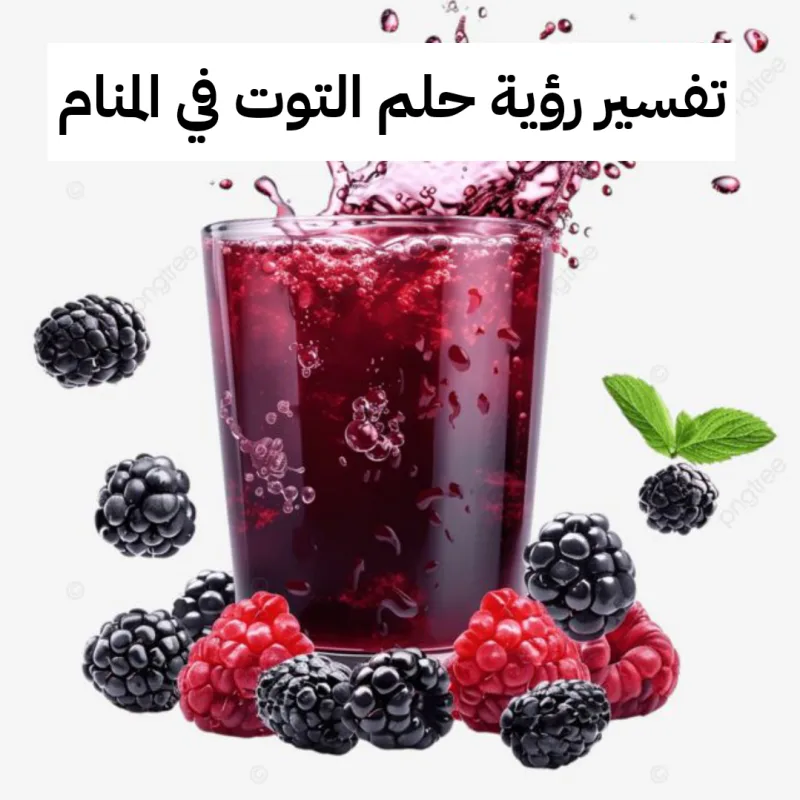 تفسير رؤية حلم التوت في المنام لابن سيرين