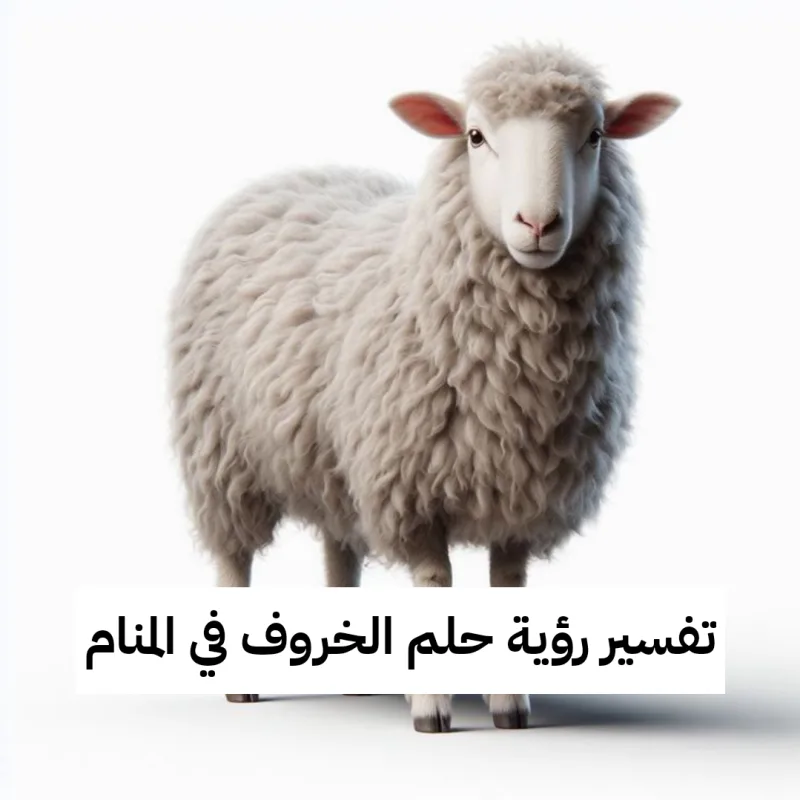 تفسير رؤية حلم الخروف في المنام بالتفصيل
