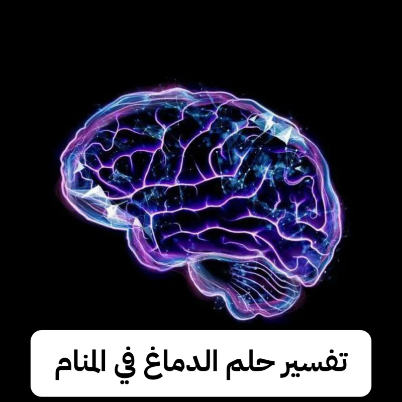 تفسير حلم الدماغ في المنام لابن سيرين - رمز رؤية الرأس في الحلم