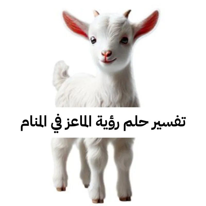 تفسير حلم رؤية الماعز في المنام لابن سيرين