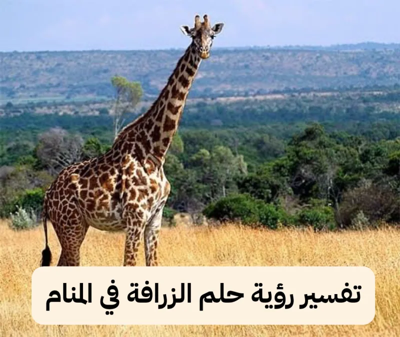 تفسير رؤية حلم الزرافة في المنام للنابلسي ولابن سيرين