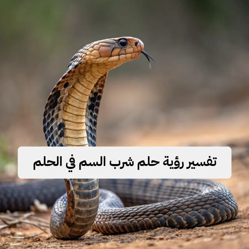 تفسير رؤية حلم شرب السم في الحلم