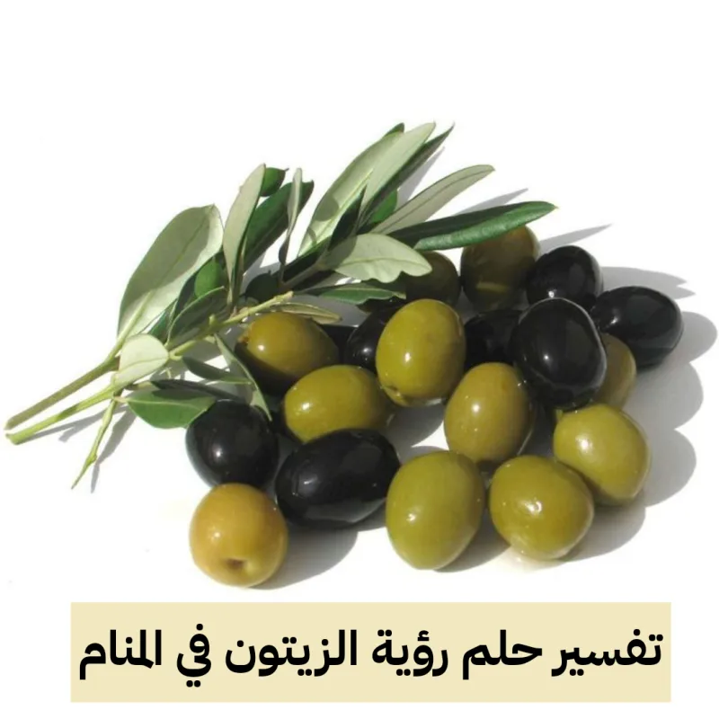 تفسير حلم رؤية الزيتون في المنام لابن سيرين .. أزمات مالية وإرتكاب معاصي