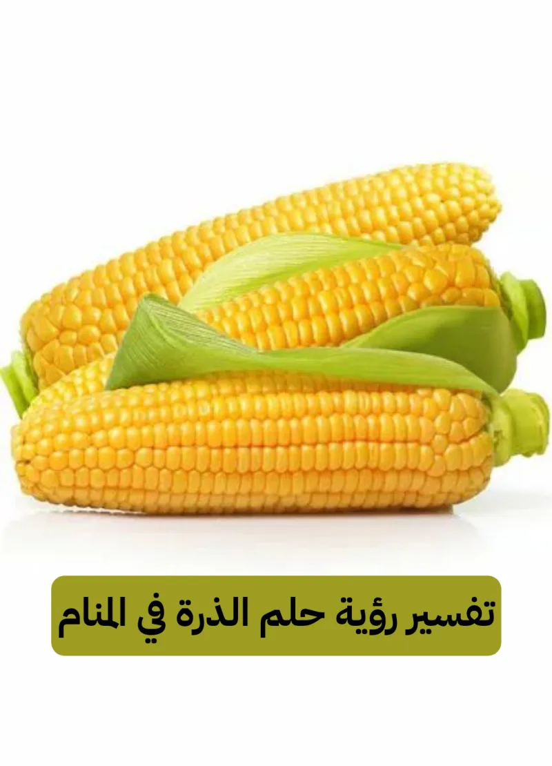 تفسير رؤية حلم الذرة في المنام .. الوفاء والحمل بتوأم