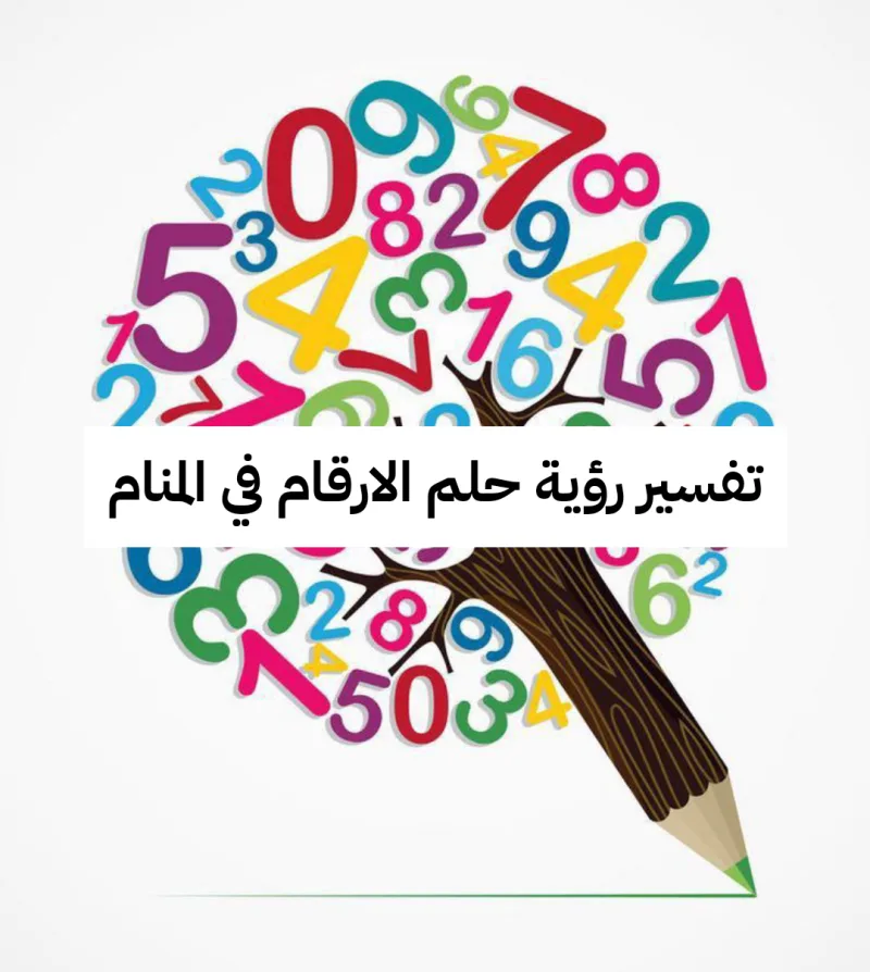 تفسير رؤية حلم الارقام في المنام .. سرعة الخصوبة والأهداف المتأخرة
