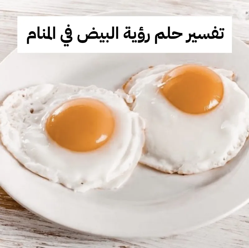 تفسير حلم رؤية البيض في المنام لابن سيرين
