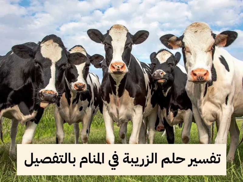 تفسير حلم الزريبة في المنام بالتفصيل