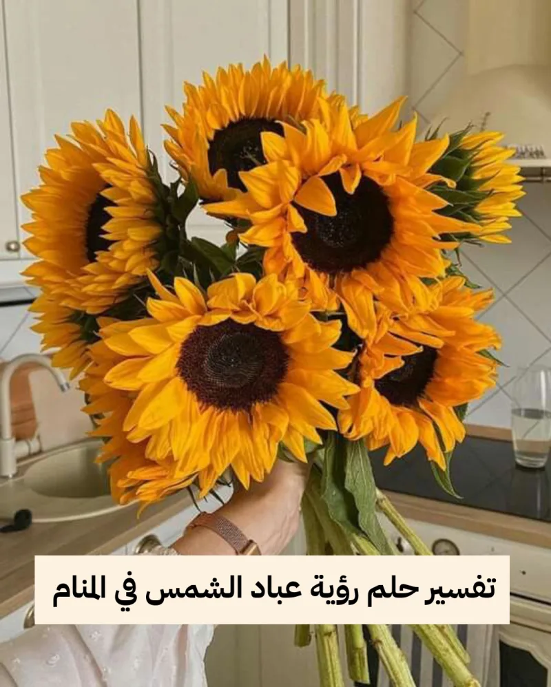 تفسير حلم رؤية عباد الشمس في المنام