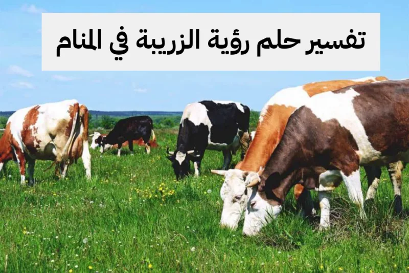 تفسير حلم رؤية الزريبة في المنام