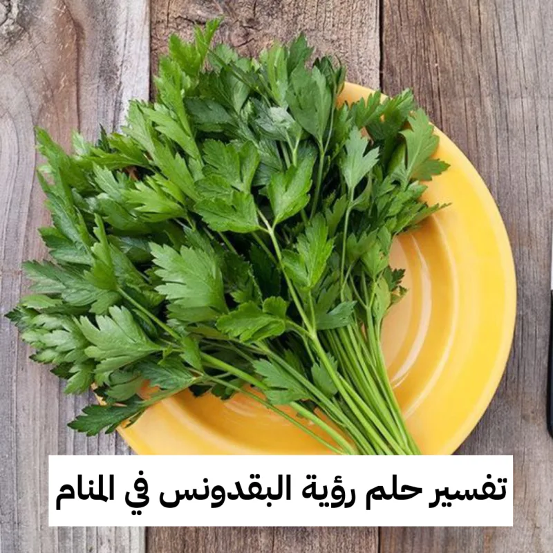 تفسير حلم رؤية البقدونس في المنام لابن سيرين