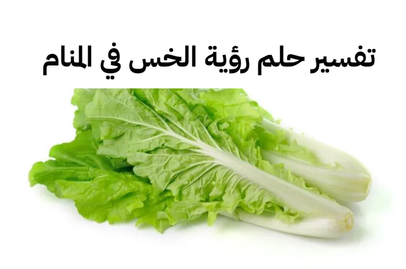 تفسير حلم رؤية الخس في المنام