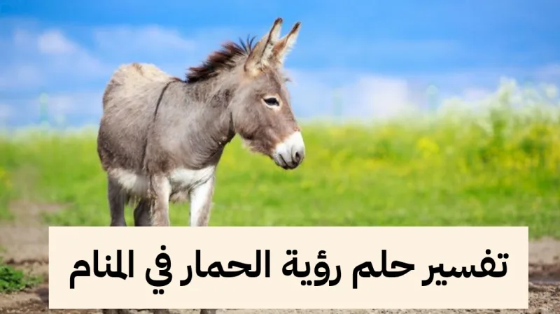 تفسير حلم رؤية الحمار في المنام لابن سيرين