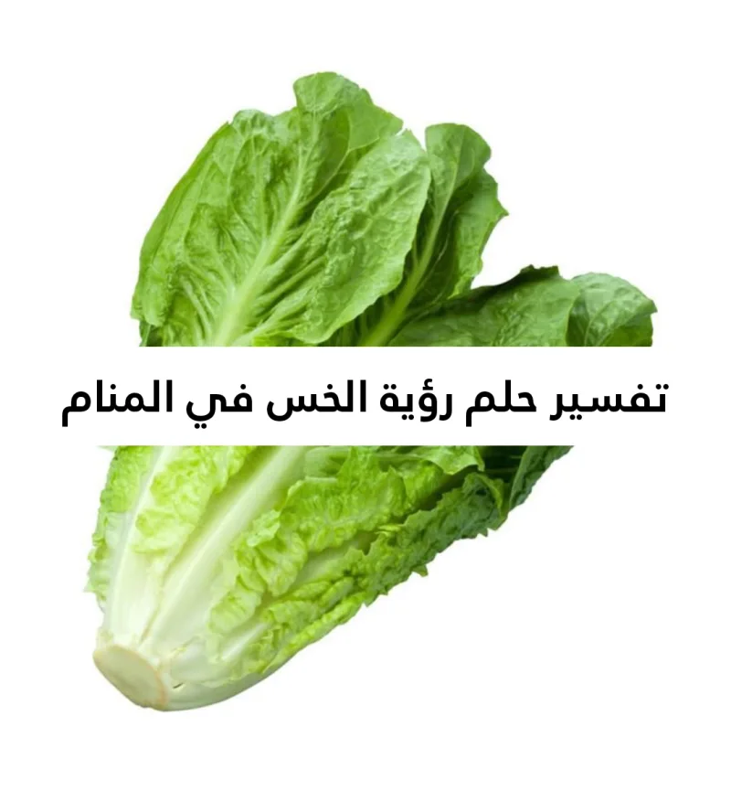 تفسير حلم رؤية الخس في المنام بالتفصيل
