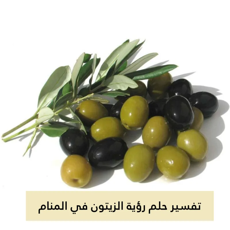 تفسير حلم رؤية الزيتون في المنام بالتفصيل لابن سيرين