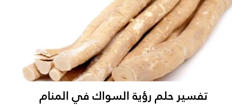 تفسير حلم رؤية السواك في المنام لابن سيرين بالتفصيل