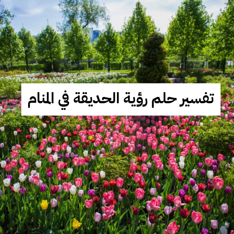 تفسير حلم رؤية الحديقة في المنام لابن سيرين بالتفصيل