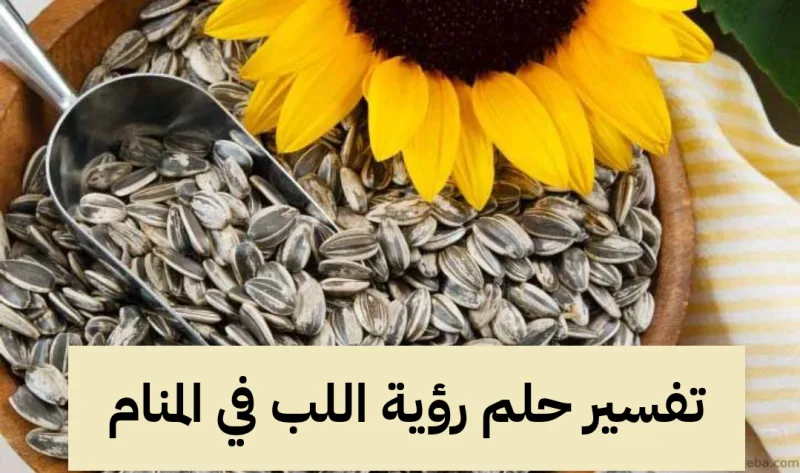 تفسير حلم رؤية اللب في المنام