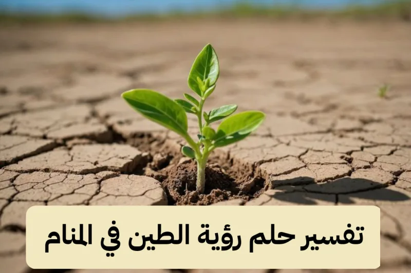 تفسير حلم رؤية الطين في المنام لابن سيرين بالتفصيل
