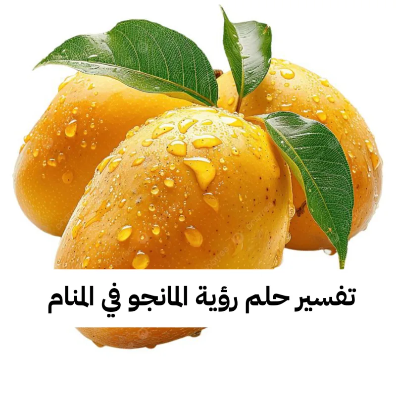 تفسير حلم رؤية المانجو في المنام لابن سيرين بالتفصيل
