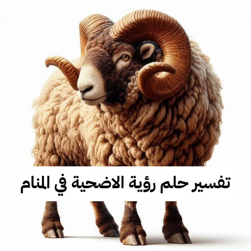 تفسير حلم رؤية الاضحية في المنام لابن سيرين بالتفصيل