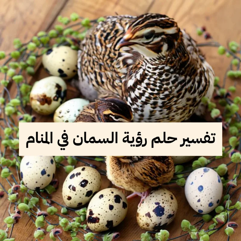 تفسير حلم رؤية السمان في المنام لابن سيرين بالتفصيل