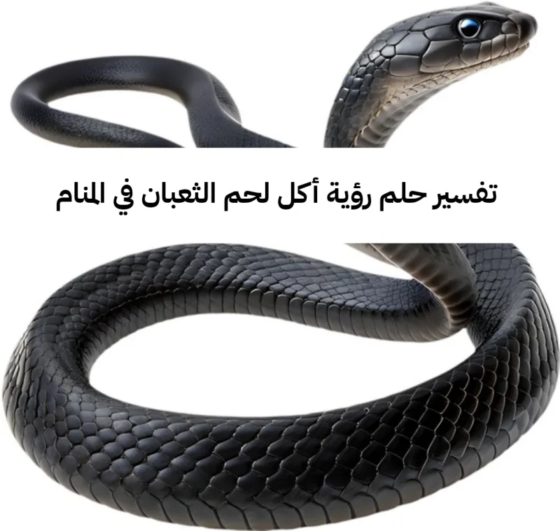 تفسير حلم رؤية أكل لحم الثعبان في المنام للعزباء وللرجل