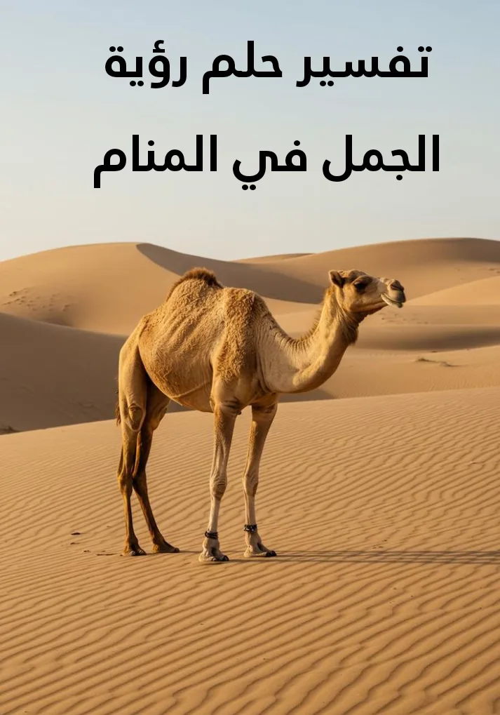تفسير حلم رؤية الجمل في المنام لابن سيرين