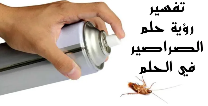تفسير رؤية حلم الصراصير في الحلم