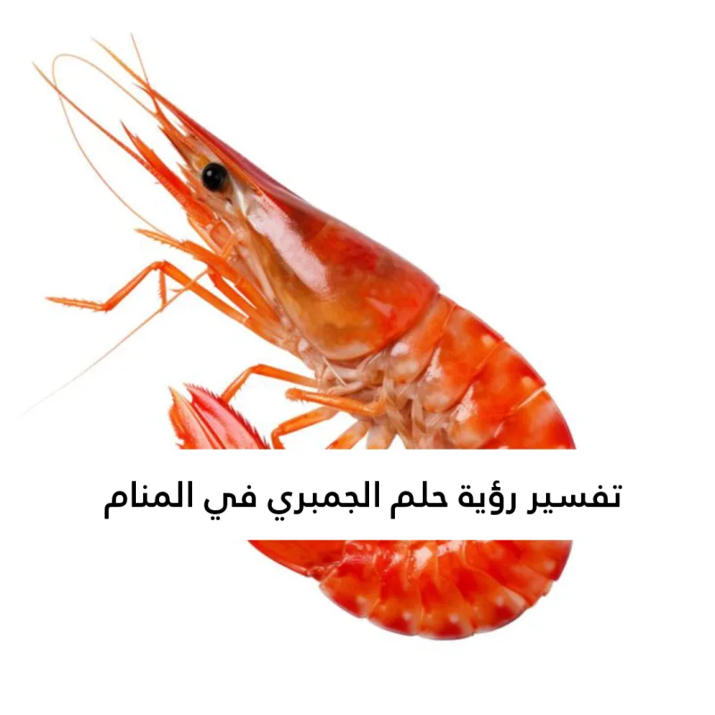 تفسير رؤية حلم الجمبري في المنام .. 10 معاني للعزباء وللمتزوجة وللحامل وللرجل